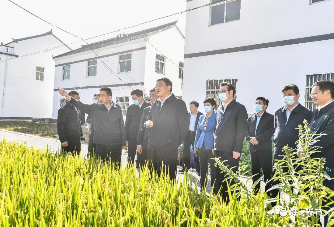 副省长马欣高度肯定365bet育在线网址_365速发国际welcome_365bet平台网址户厕改造工作